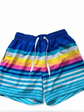 Chubbies Men's Vibrant Striped Swim Trunks in Blue & Multicolor size small
